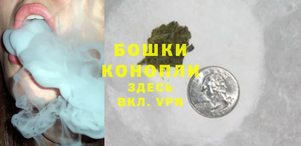 мдпв Апатиты