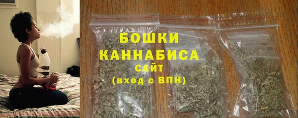 мдпв Апатиты