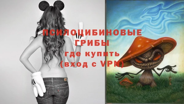 a pvp Анжеро-Судженск