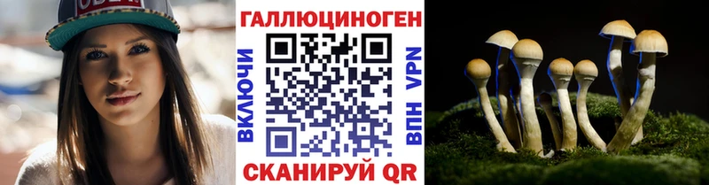 что такое   гидра маркетплейс  Галлюциногенные грибы мицелий  Дюртюли 